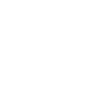 zw logo 2018 icon white